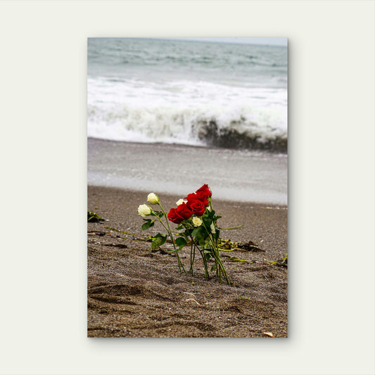 Bouquet of Red and White Roses on Ocean Shore 60x90cm Metal Print Ready to Hang