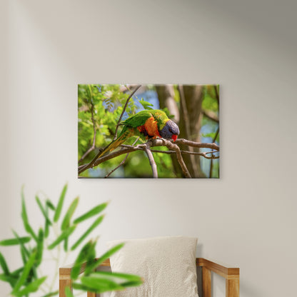 Cute Rainbow Lorikeet Australia Wall Art Decor 100% Australian Made