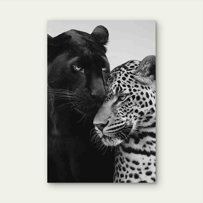 Featuring Black Panther And Leopard Metal Print Ready to Hang