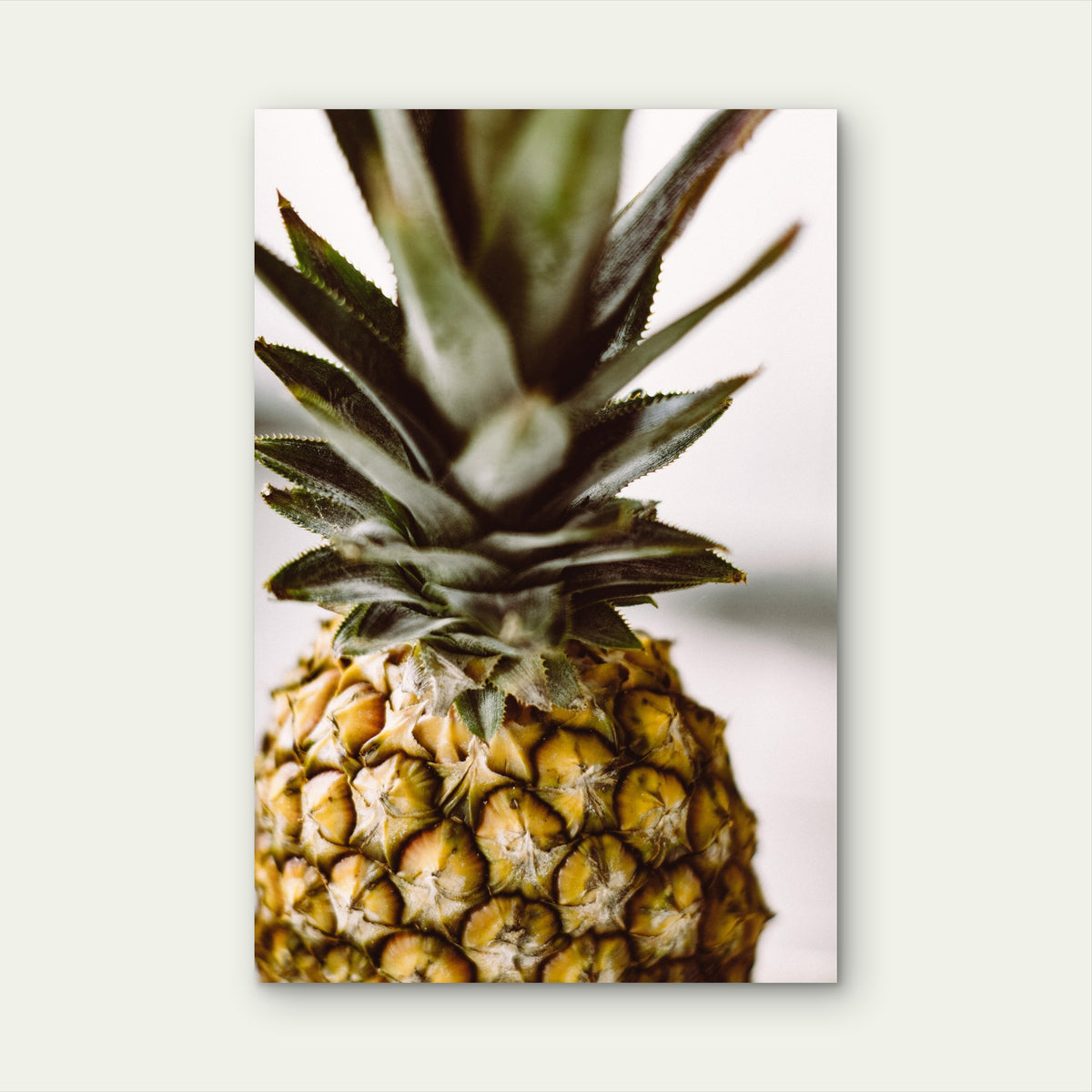 Close Up Of A Pineapple 40x60cm Metal Print Ready to Hang