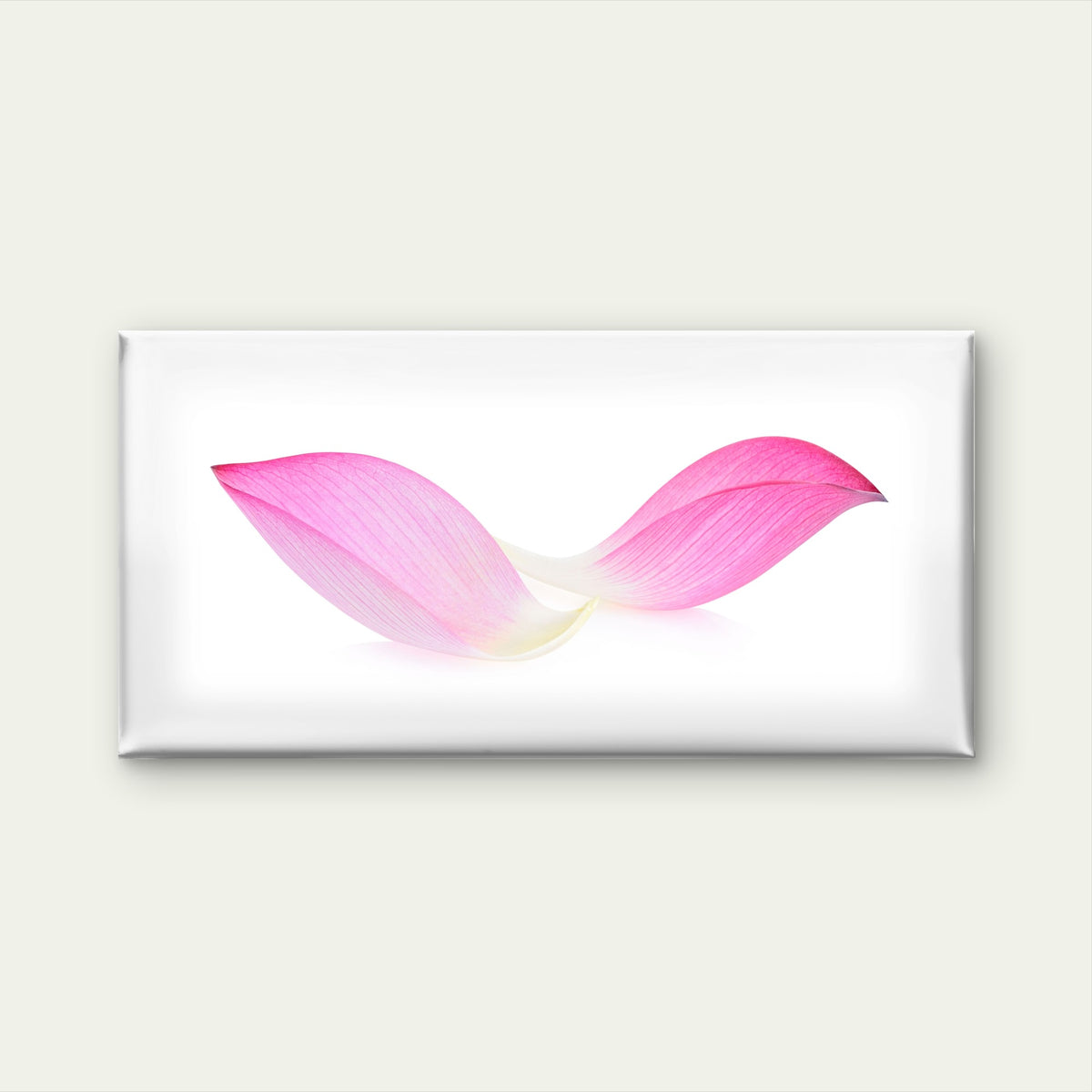 Pink Lotus Petals Floating Wall Art Canvas Office Home Room Framed 120x60cm