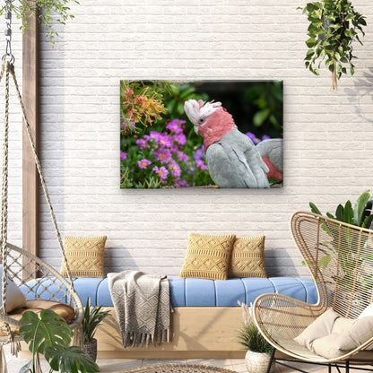 Australian Native Galah Bird Wall Art Decor 100% Australian Made
