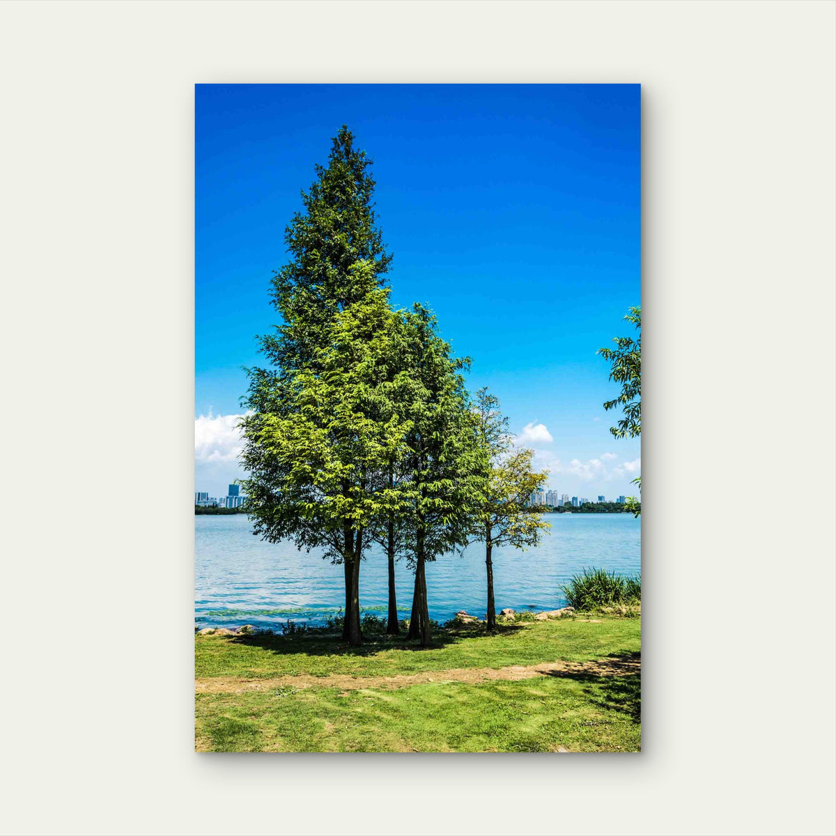 Tree With Lake 60x90cm Metal Print Ready to Hang