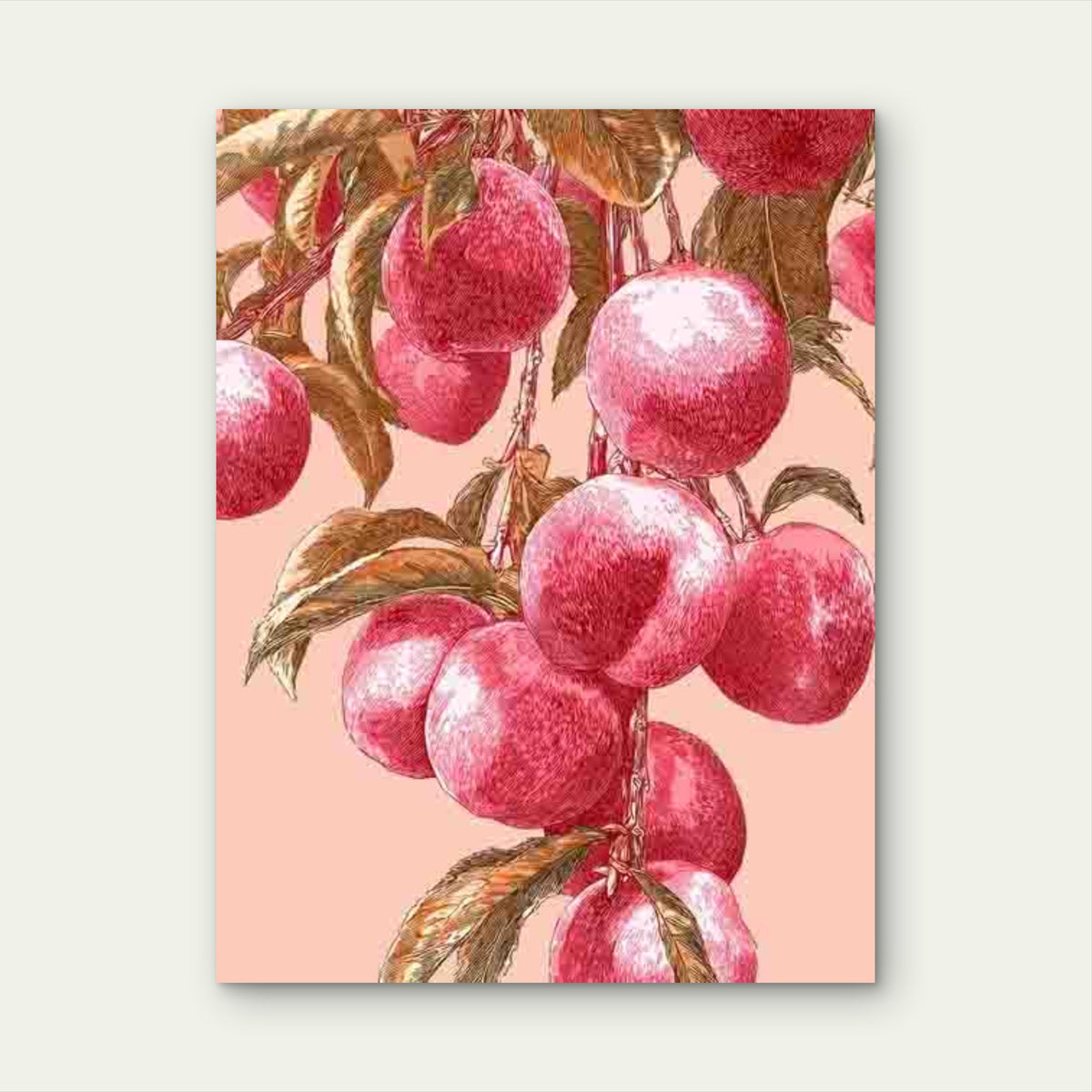 Peach Illustration,Botanical Artwork Metal 40x60cm Print Ready to Hang