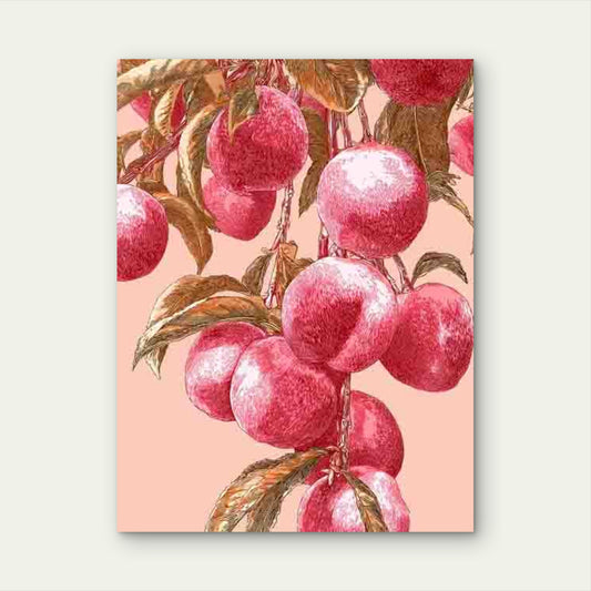 Peach Illustration,Botanical Artwork Metal 40x60cm Print Ready to Hang
