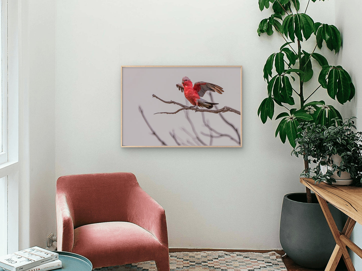 Galah Australia Wings Out Wall Art Decor 100% Australian Made
