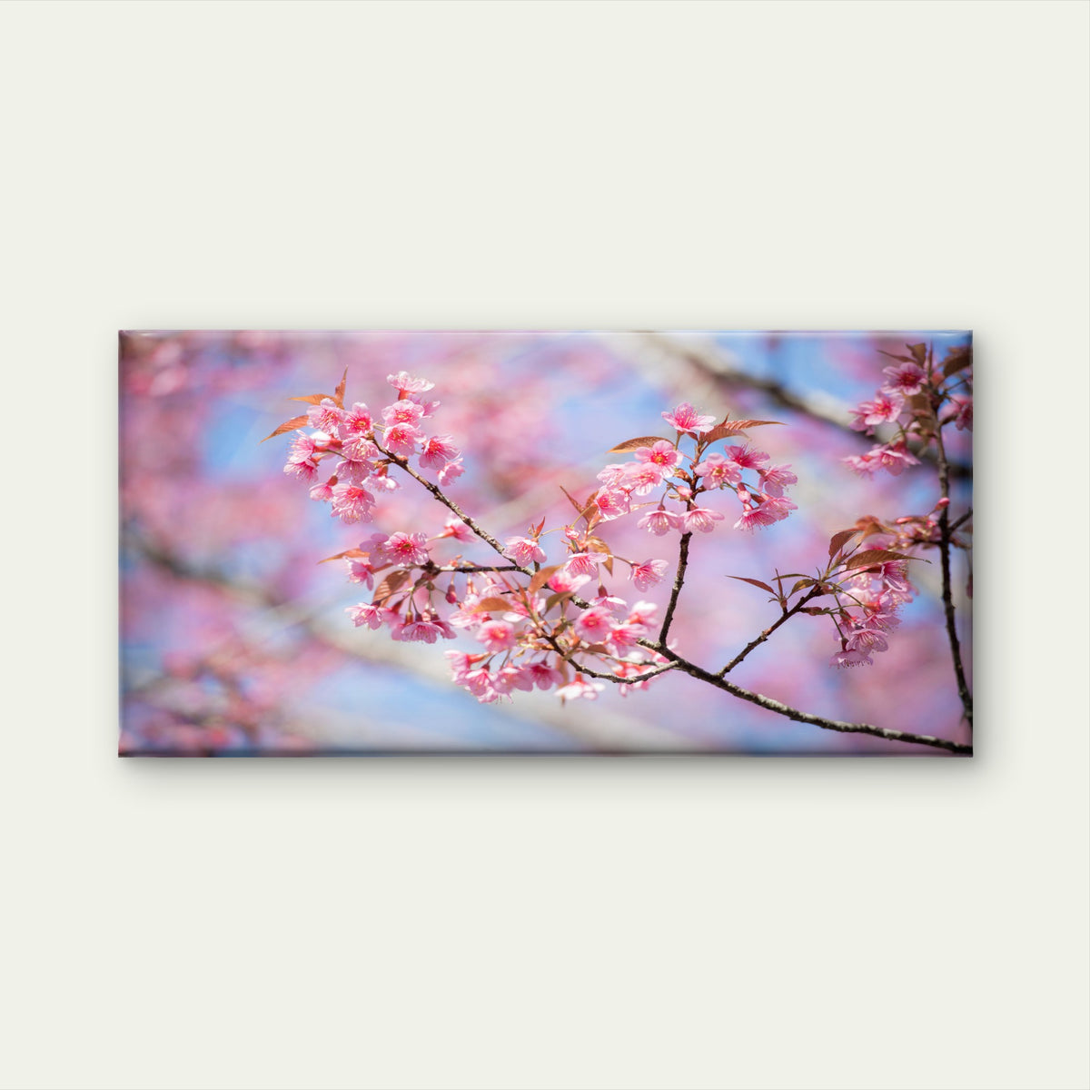 Thai Sakura In Bloom Wall Art Canvas Office Home Room Framed 120x60cm