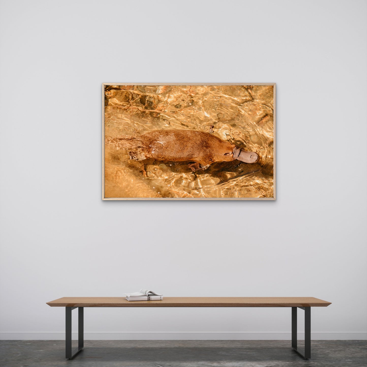 Platypus Tasmania Stream Wall Art Decor 100% Australian Made