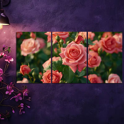 3pcs Rose Floral Garden Illustration Wall Art Set Canvas Framed 40x60cm - High Quality Print 100% Australian Made Wall Canvas Ready to Hang
