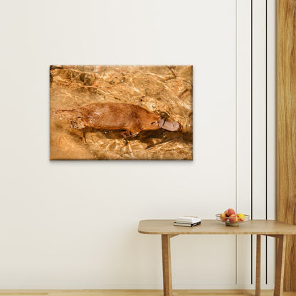 Platypus Tasmania Stream Wall Art Decor 100% Australian Made