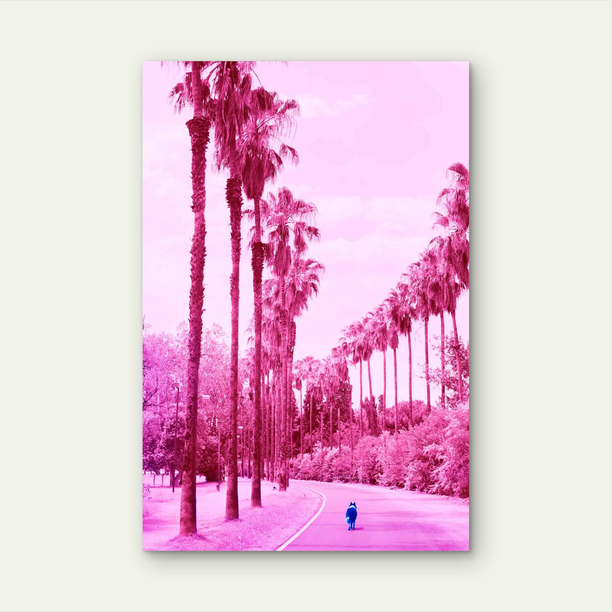 Pink Paradise Palm Promenade Metal Print Ready to Hang