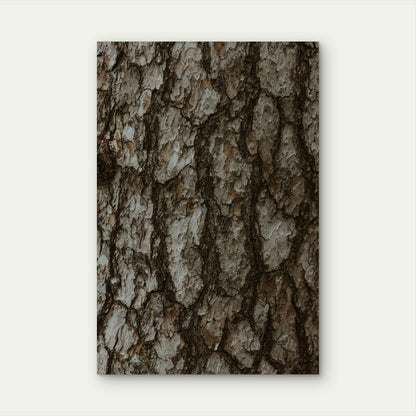 Close-Up of Tree Bark 40x60cm Metal Print Ready to Hang