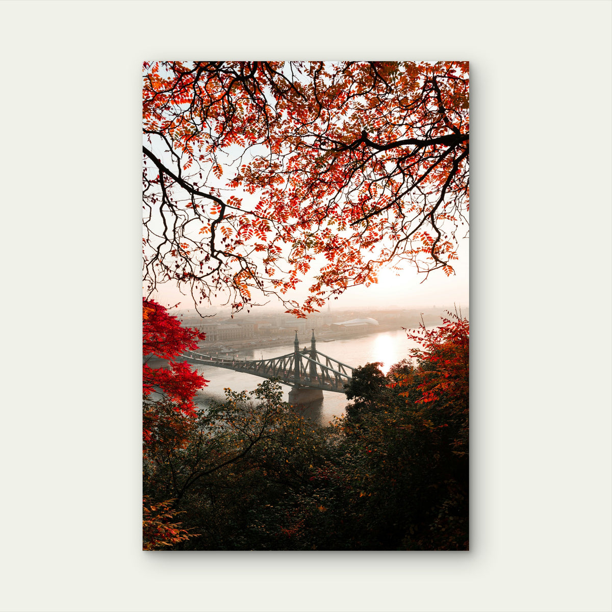 Széchenyi Chain Bridge in Autumn, Budapest 60x90cm Metal Print Ready to Hang