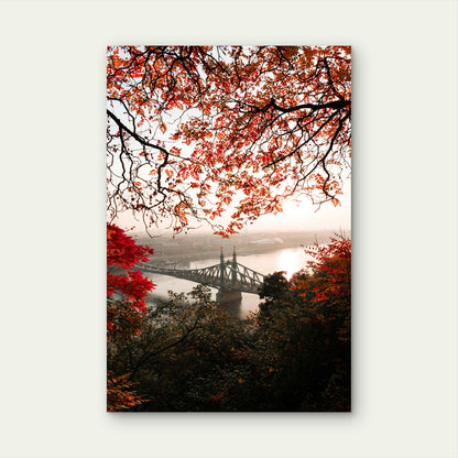 Széchenyi Chain Bridge in Autumn, Budapest 60x90cm Metal Print Ready to Hang