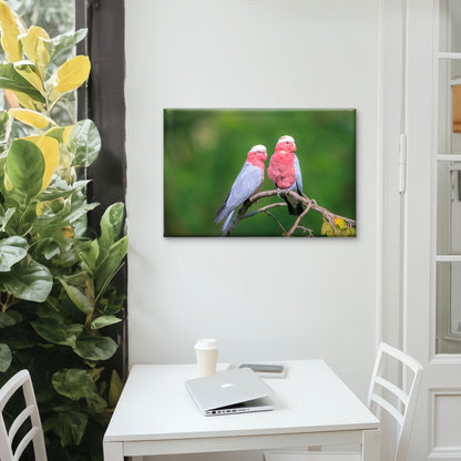 Rose Breasted Cockatoo Galah Australia Wall Art Decor 100% Australian Made