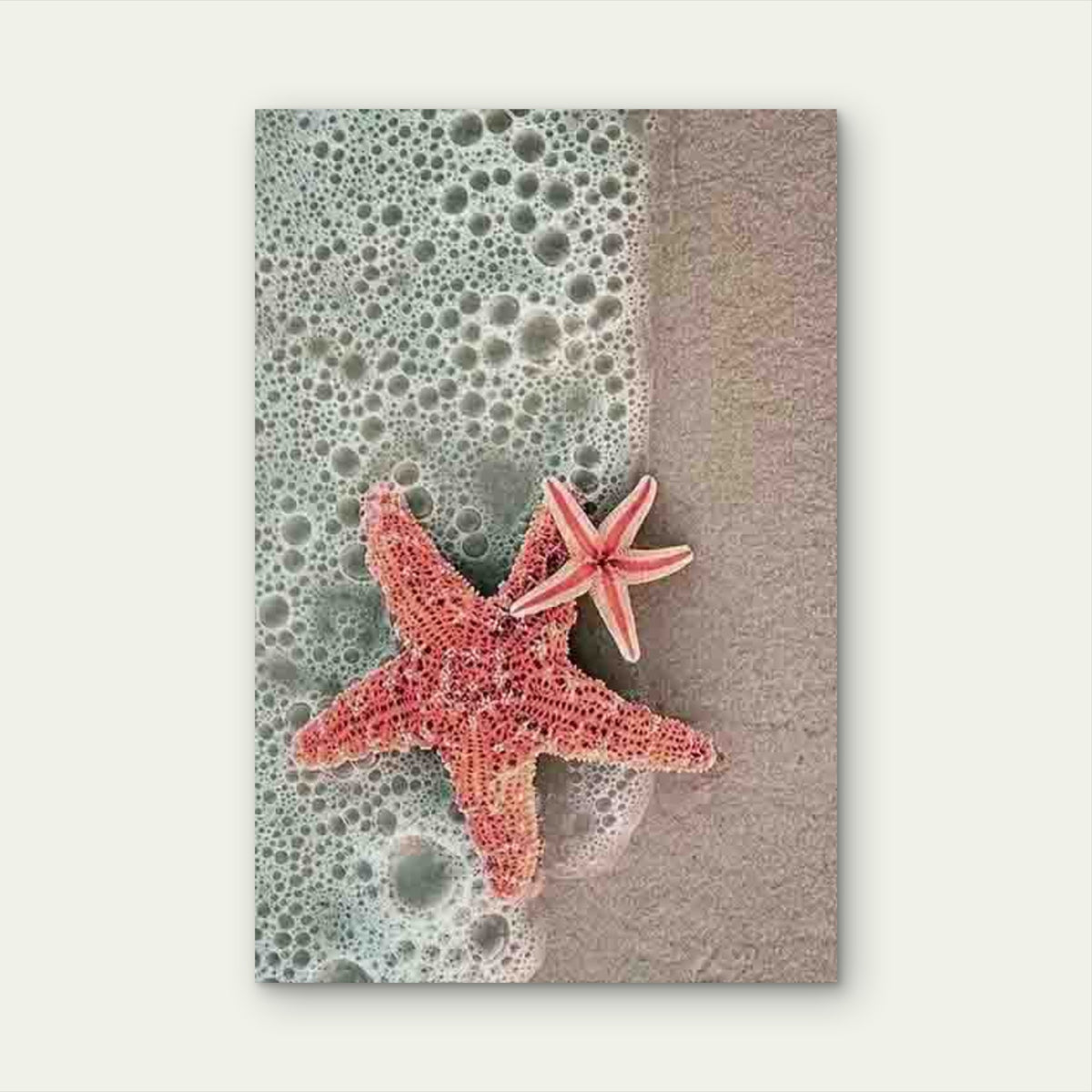 Vibrant Coastal Beach Starlets 60x90cm Metal Print Ready to Hang