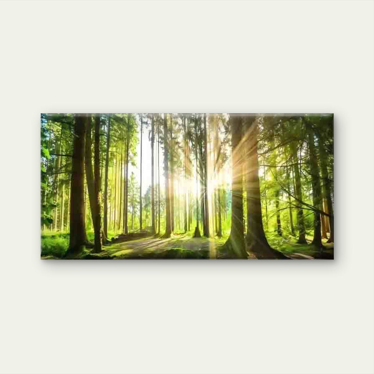 Sunlit Green Forest Landscape Wall Art Canvas Office Home Room Framed 120x60cm