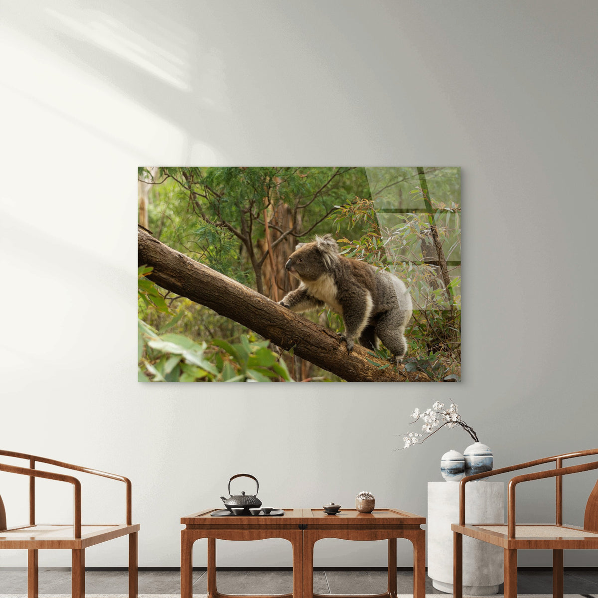 Aussie Wild Koala Bear Native Forest Acrylic Glass Printing Wall Art Australian Made Quality