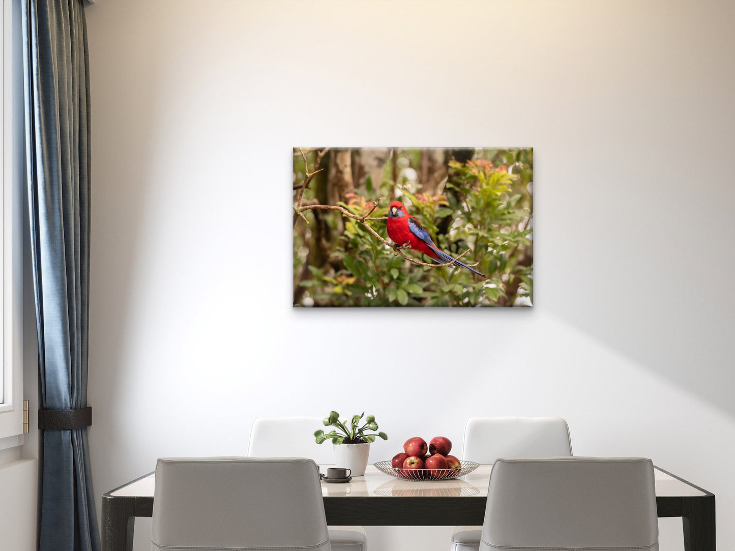 Crimson Rosella Queensland Wall Art Decor 100% Australian Made