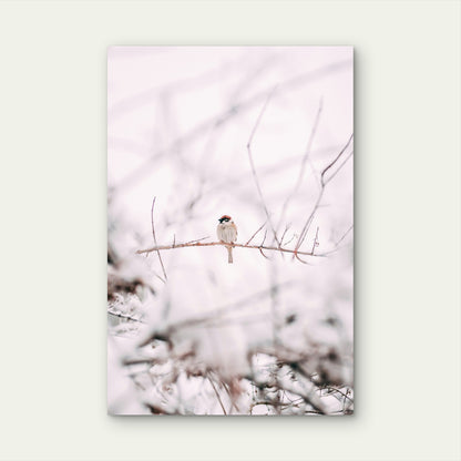 Eurasian Tree Sparrow On Tree Branch 60x90cm Metal Print Ready to Hang