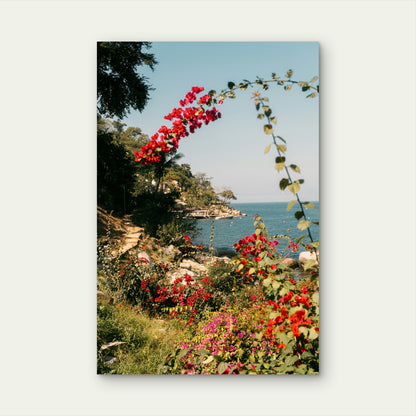 Scenic Tropical Coastline View 60x90cm Metal Print Ready to Hang