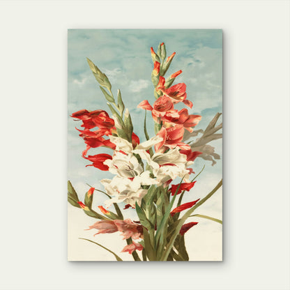 Illustration of Gladiolus Flowers 60x90cm Metal Print Ready to Hang