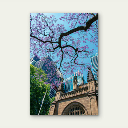 Jacaranda Tree Set Against A Cityscape 60x90cm Metal Print Ready to Hang