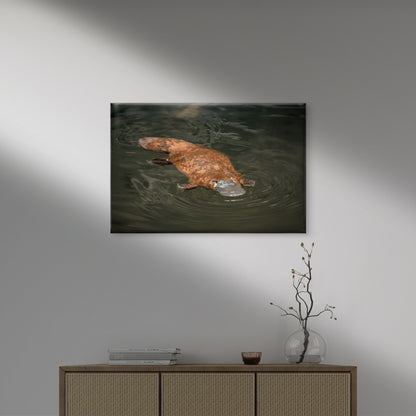 Platypus Eastern Australia Wall Art Decor 100% Australian Made
