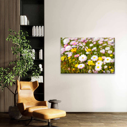 Australian Everlasting Paper Daisies Kings Park Wall Art Decor 100% Australian Made