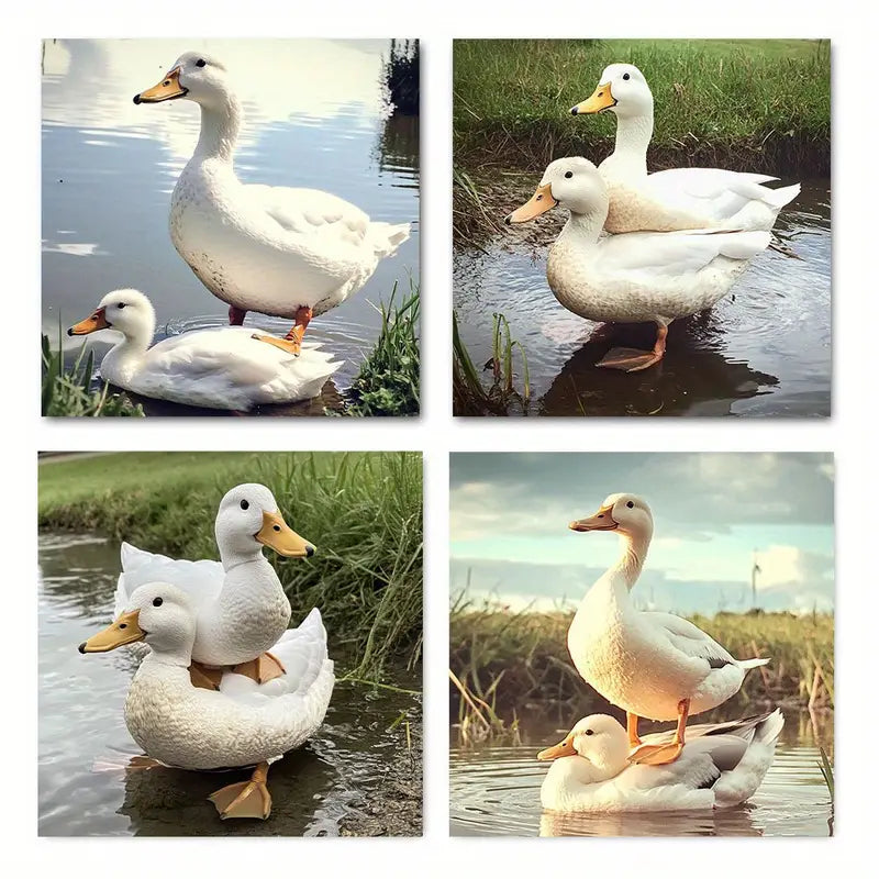 4pcs Decor Fighting Duck  Wall Art Canvas Framed
