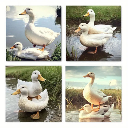 4pcs Decor Fighting Duck  Wall Art Canvas Framed