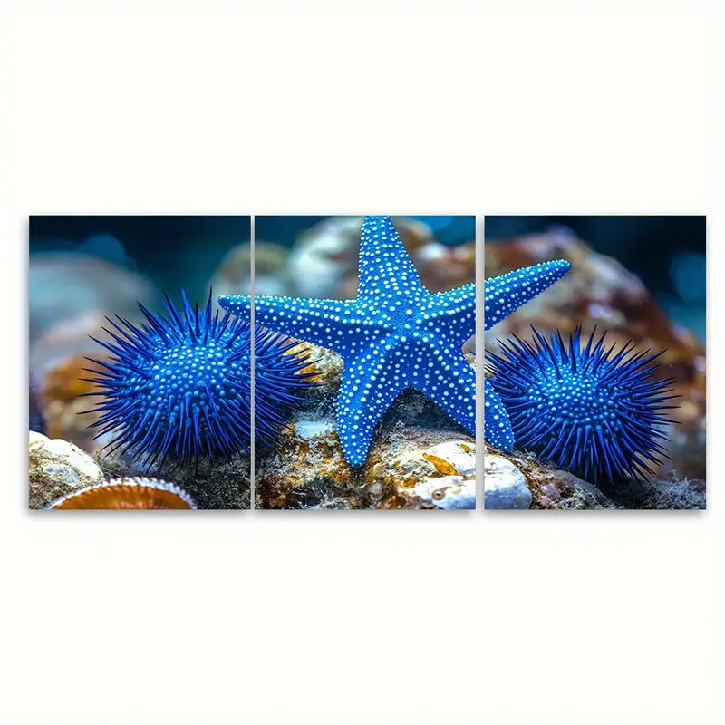 3pcs Blue Starfish & Sea Urchin Ocean Wall Art Set Canvas Framed 60x90cm - High Quality Print 100% Australian Made Wall Canvas Ready to Hang