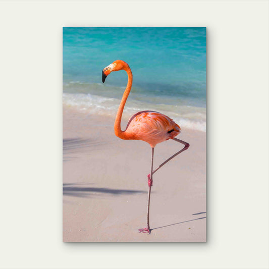 Vibrant Flamingo Gracing the Tropical Coastline 60x90cm Metal Print Ready to Hang