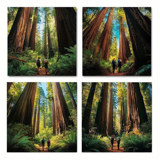 4pcs Nature Scene With Sunlight & Hikers Wall Art Canvas Framed
