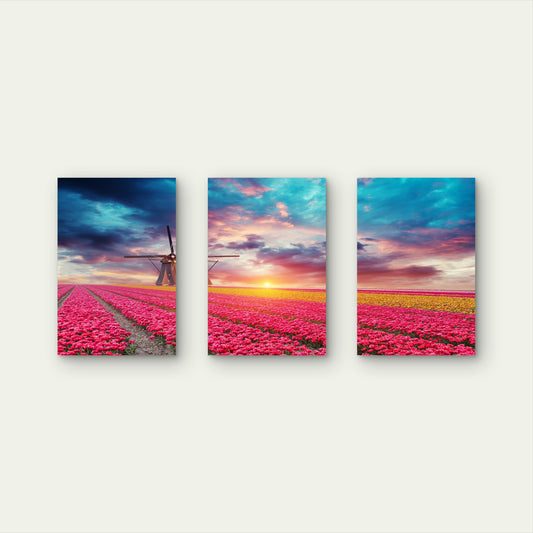 3pcs Netherlands Windmill Tulip Field Sunset Wall Art Set Canvas Framed 50x70cm - High Quality Print 100% Australian Made Wall Canvas Ready to Hang