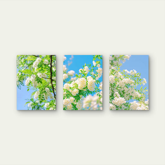 3pcs Bright White Spring Blossom Tree Branch Wall Art Set Canvas Framed 50x70cm - High Quality Print 100% Australian Made Wall Canvas Ready to Hang