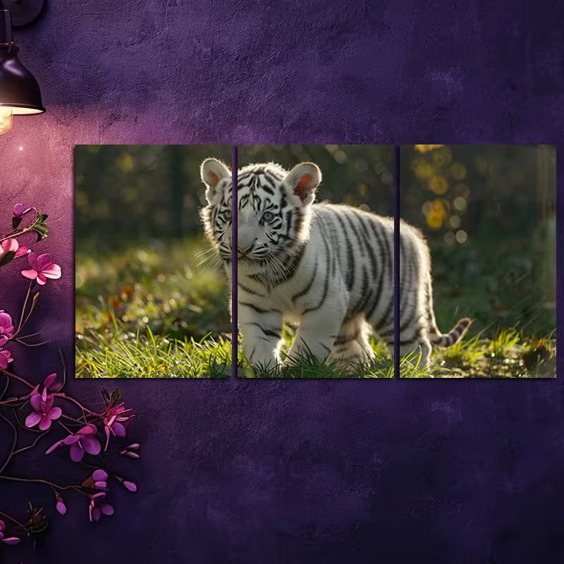 3pcs Cute White Tiger Cub Wall Art Set Canvas Framed 50x70cm - High Quality Print 100% Australian Made Wall Canvas Ready to Hang