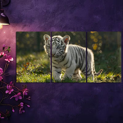 3pcs Cute White Tiger Cub Wall Art Set Canvas Framed 50x70cm - High Quality Print 100% Australian Made Wall Canvas Ready to Hang