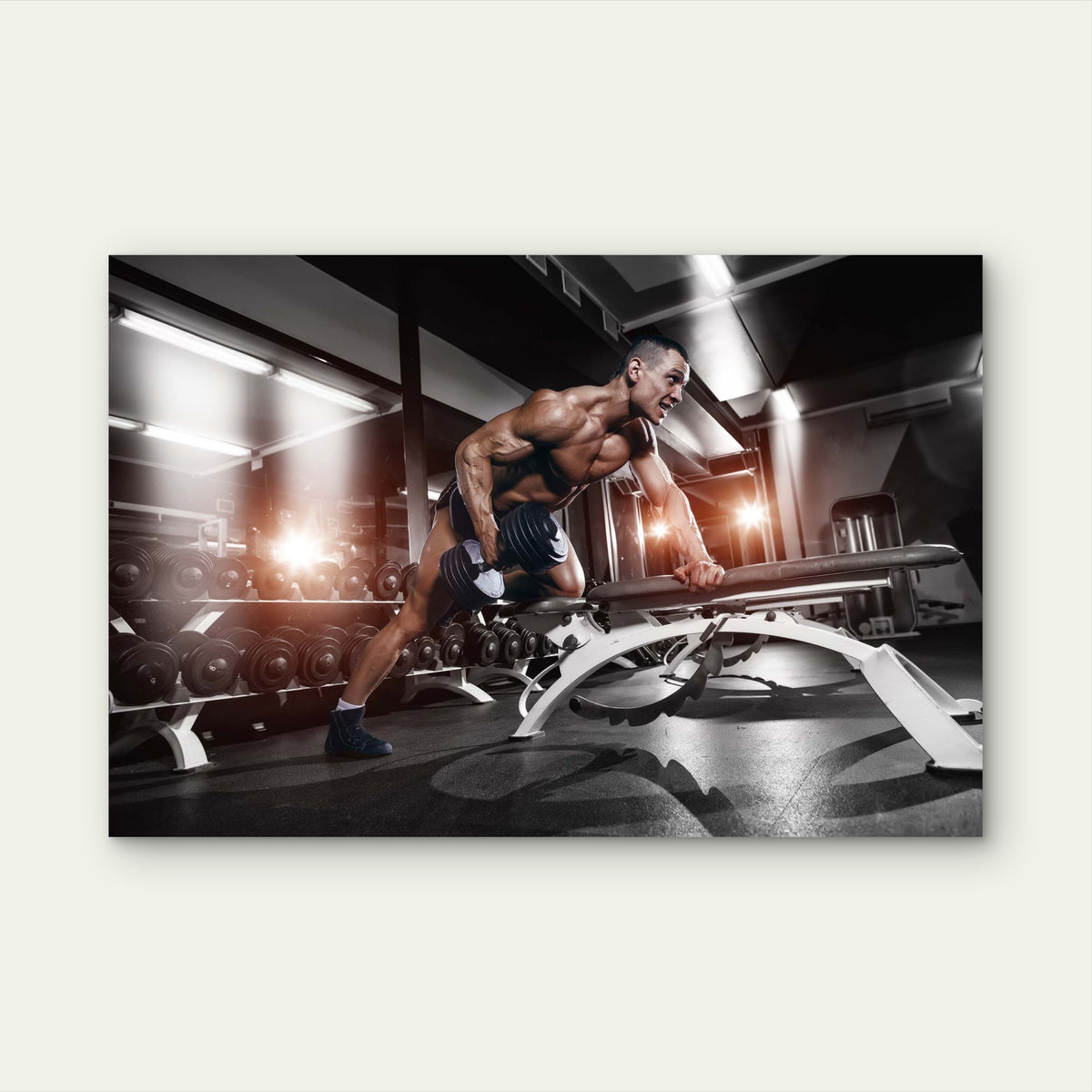 Bodybuilding Man Dumbbell Workout 5mm thick Plastic Poster Ready to Hang 90x60cm