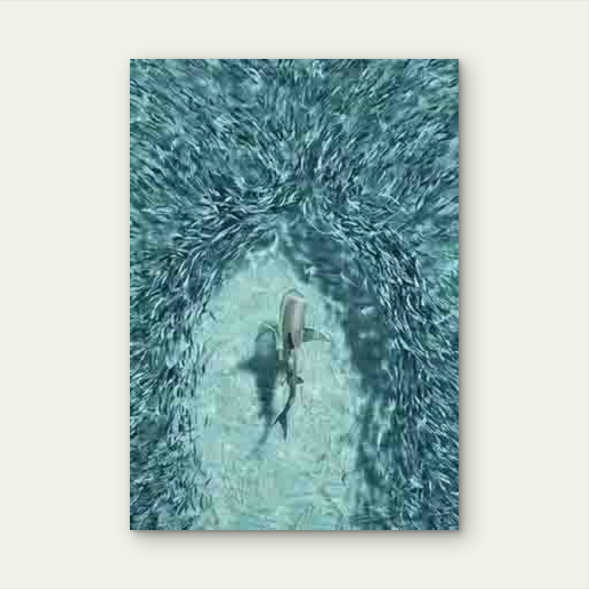 Shark Among a School of Fish Metal Print Ready to Hang