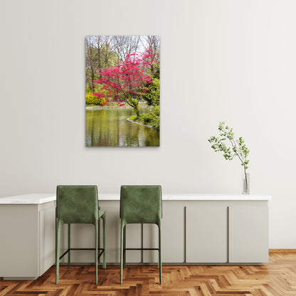 Cherry Tree Planted By River 60x90cm Metal Print Ready to Hang
