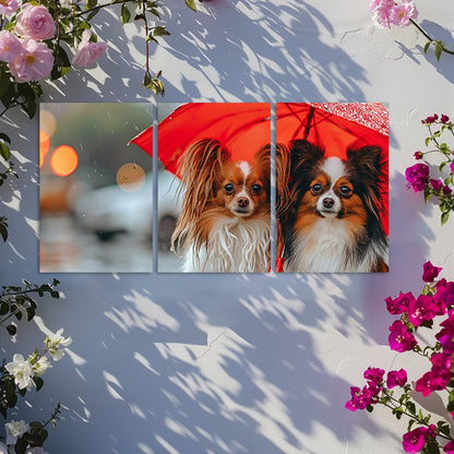 3pcs Two cute papillon dogs Wall Art Set Canvas Framed 50x70cm - High Quality Print 100% Australian Made Wall Canvas Ready to Hang