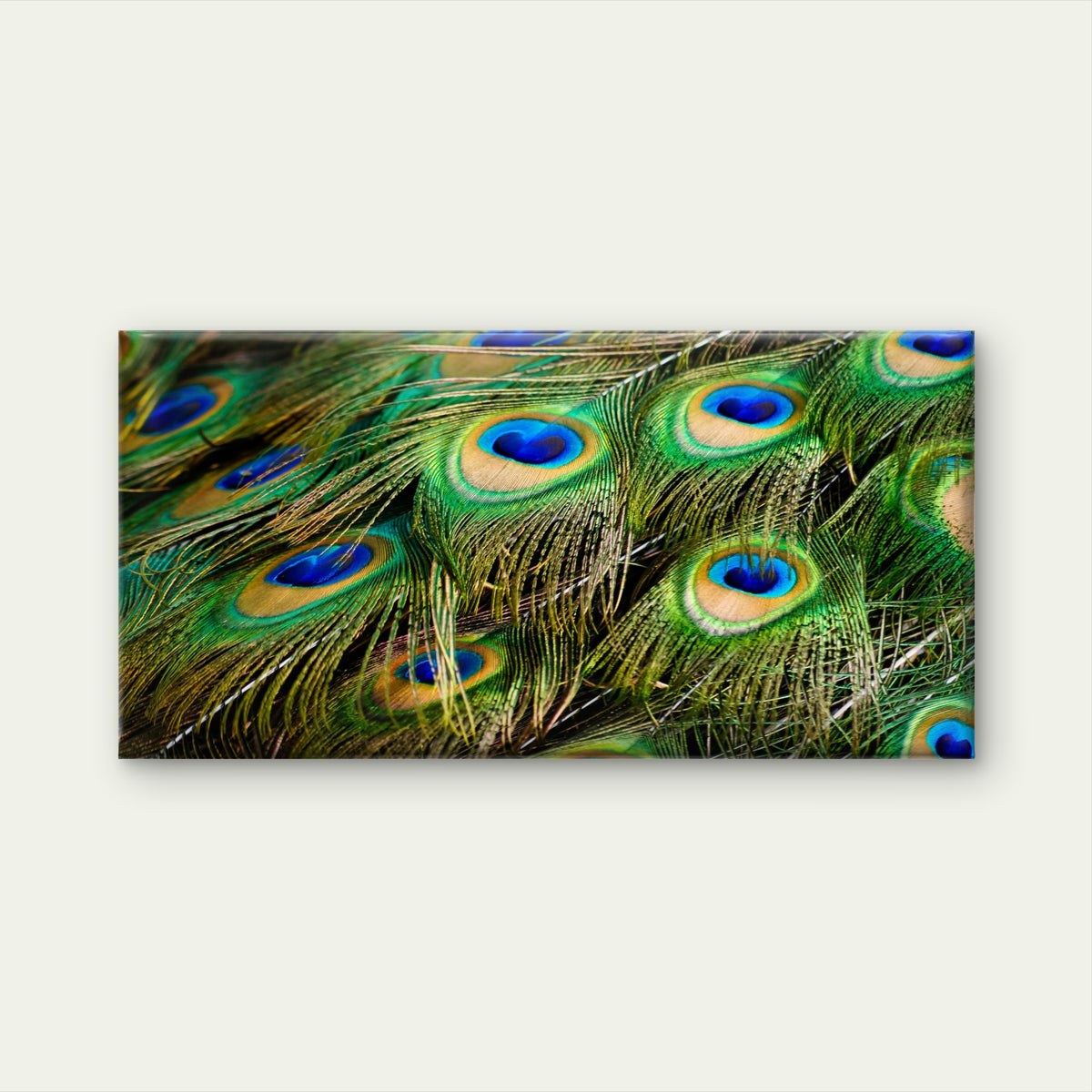 Peacock Feather Close Up Wall Art Canvas Office Home Room Framed 120x60cm
