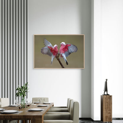 Galahs on Cooper Creek South Australia Wall Art Decor 100% Australian Made