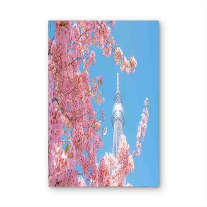 Spring Splendor At Tokyo Skytree 60x90cm Metal Print Ready to Hang