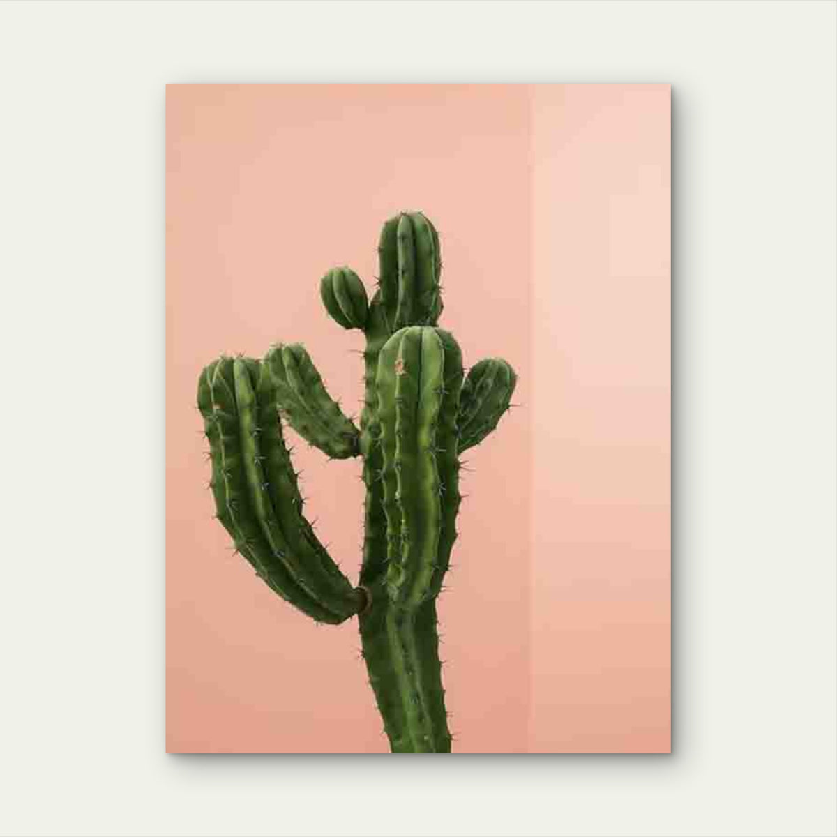 Desert Cactus Artwork 60x90cm Metal Print Ready to Hang