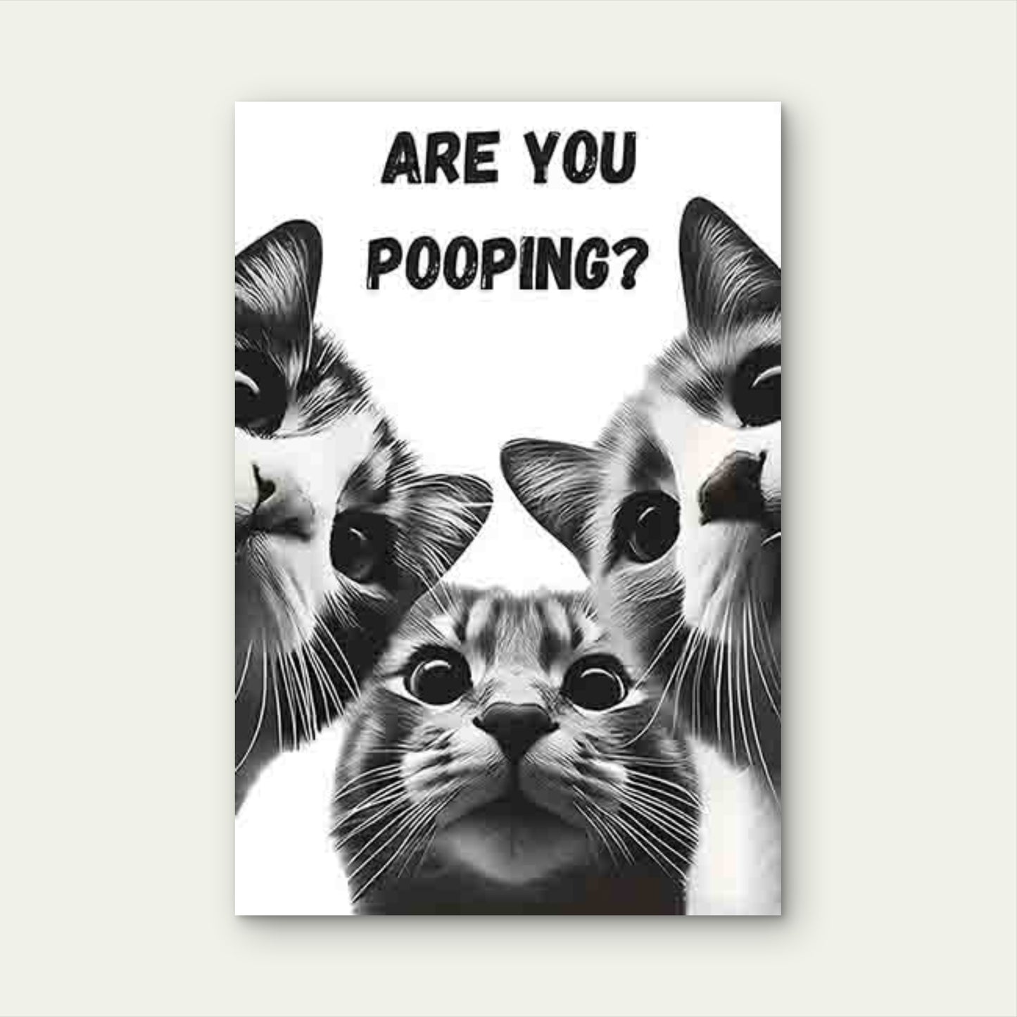 Three Wide-Eyed Cats with The Text ARE YOU POOPING 60x90cm Metal Print Ready to Hang - Bella Home Decor