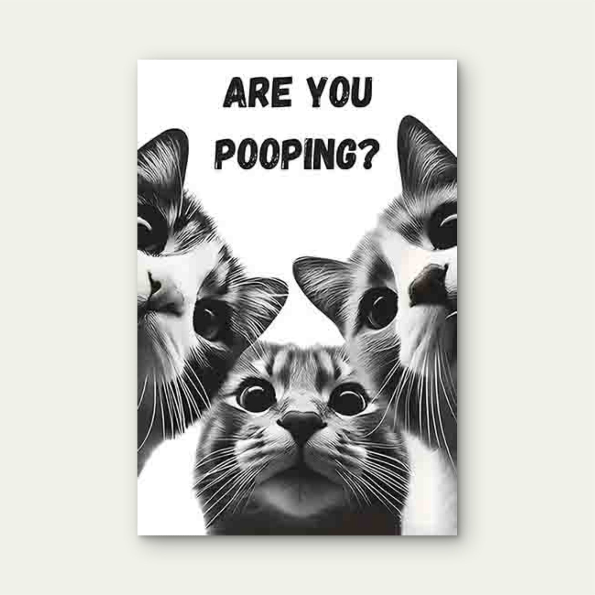 Three Wide-Eyed Cats with The Text ARE YOU POOPING 60x90cm Metal Print Ready to Hang - Bella Home Decor