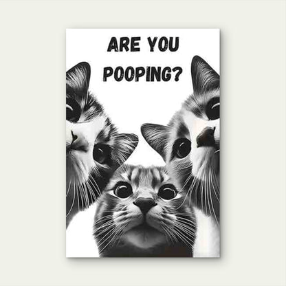 Three Wide-Eyed Cats with The Text ARE YOU POOPING 60x90cm Metal Print Ready to Hang - Bella Home Decor