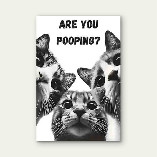 Three Wide-Eyed Cats with The Text ARE YOU POOPING 60x90cm Metal Print Ready to Hang - Bella Home Decor